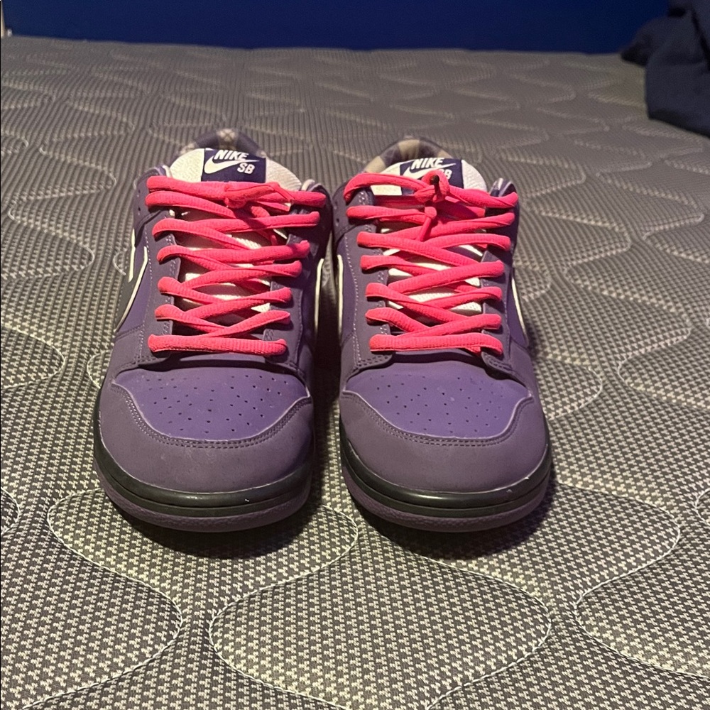Nike SB Violet Shoes with Bright Pink Laces